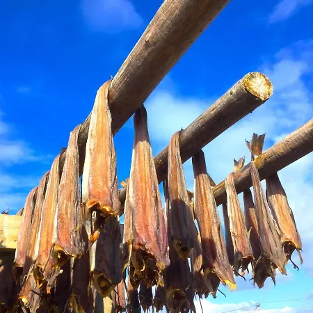 Beachfront Paradise Lofoten Dağ evi *